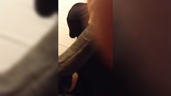 Black Dick Sucked by a White Guy