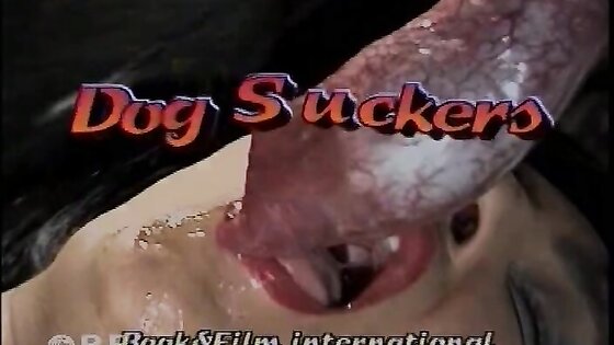 Dog Suckers